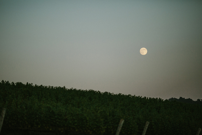 RuthAndJeff_Jonas_Seaman_1059